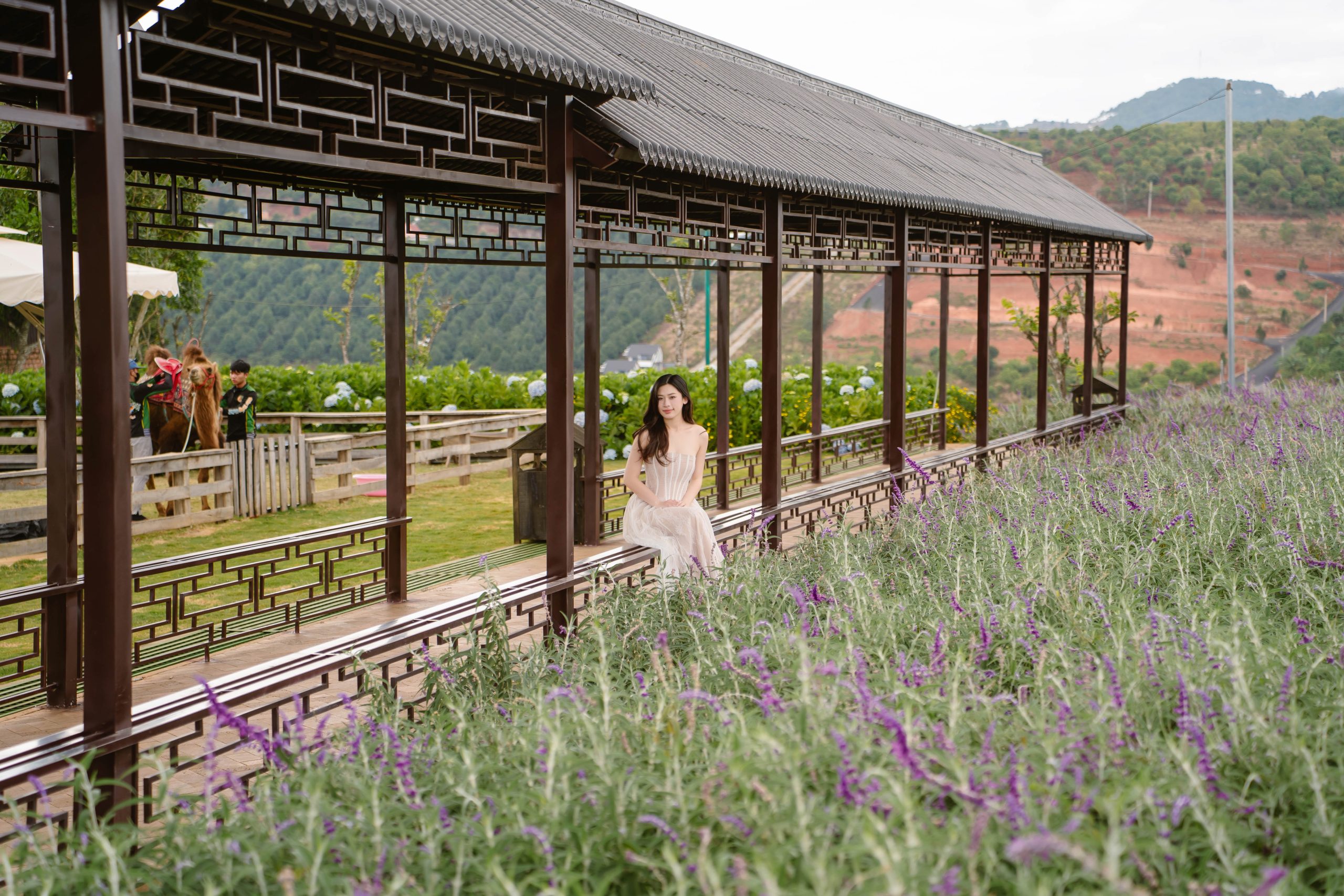 canh thien nhien mong mo tai thien minh da lat