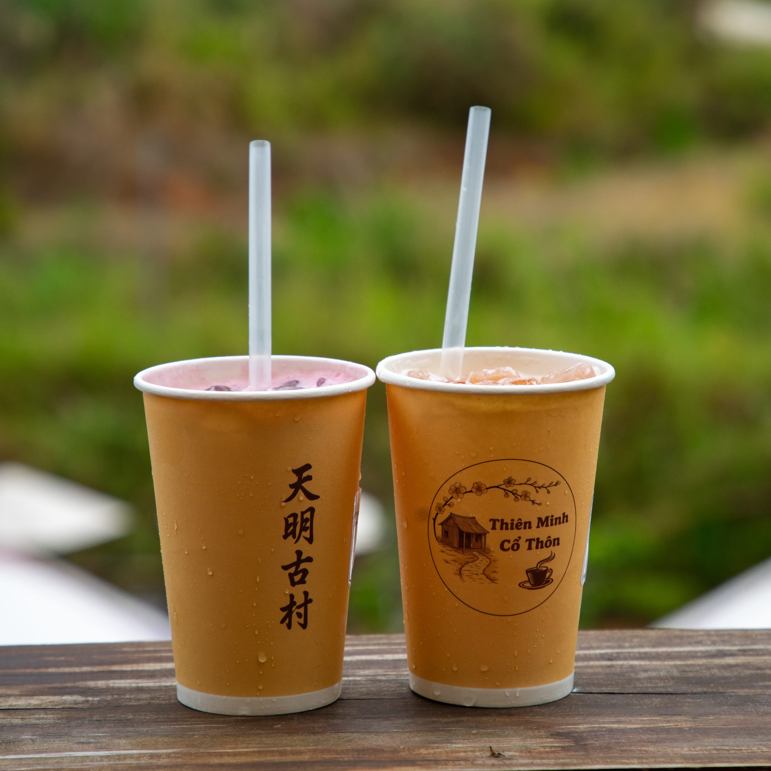 tra trai cay tai thien minh da lat