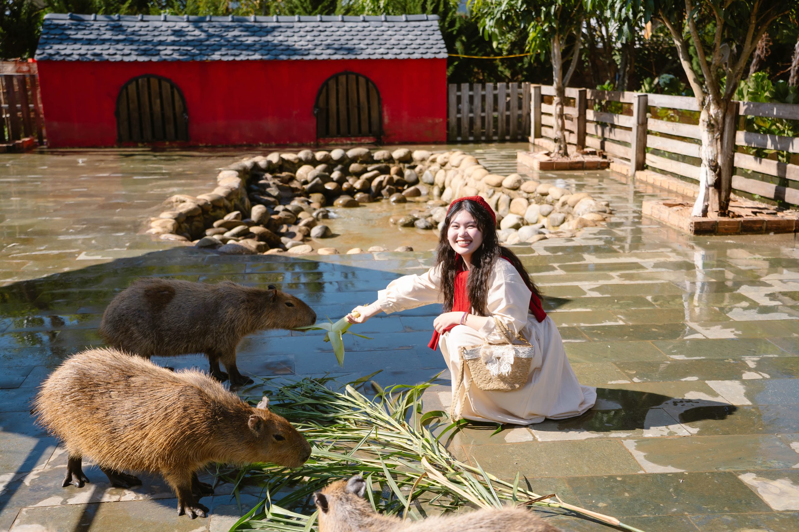 trai nghiem tuong tac truc tiep cung cac ban capybara dang yeu