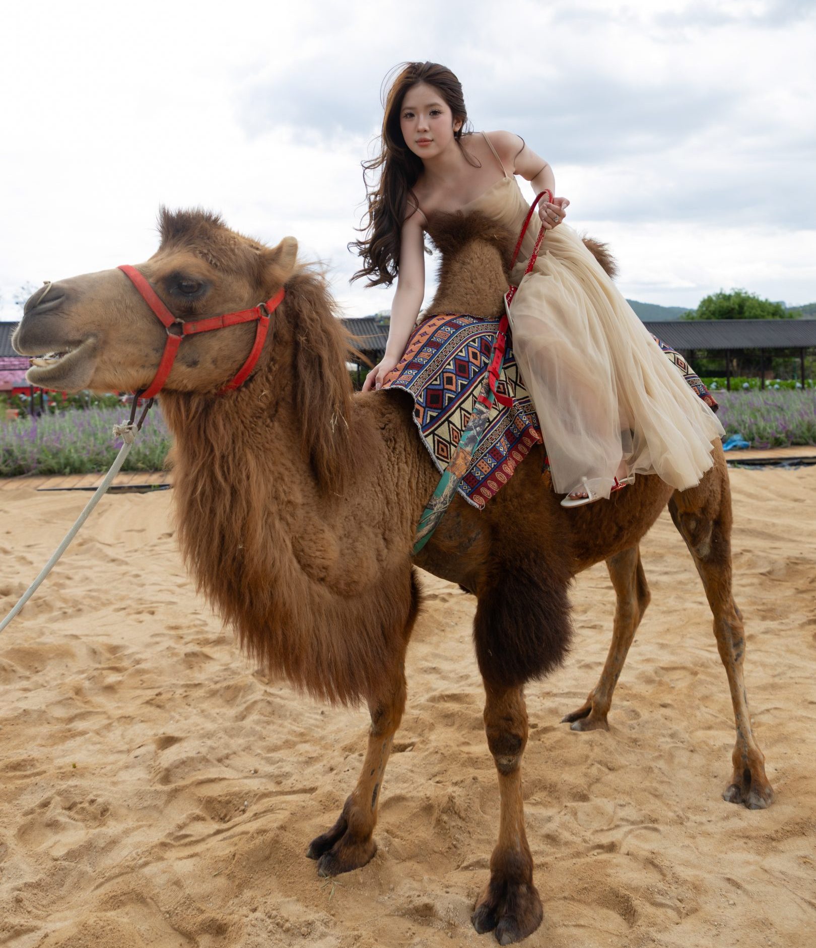 tuan thu huong dan khi tham gia cuoi lac da